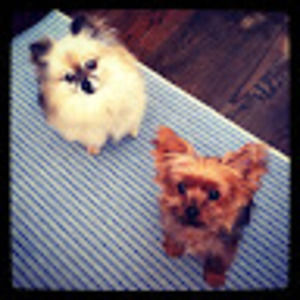 Meet your Posher, Jamie